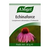 Echinacea - 120 past.