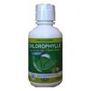 Chlorophylle puissant - 473 ml