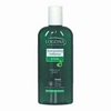 Shampooing Ortie - 250 ml